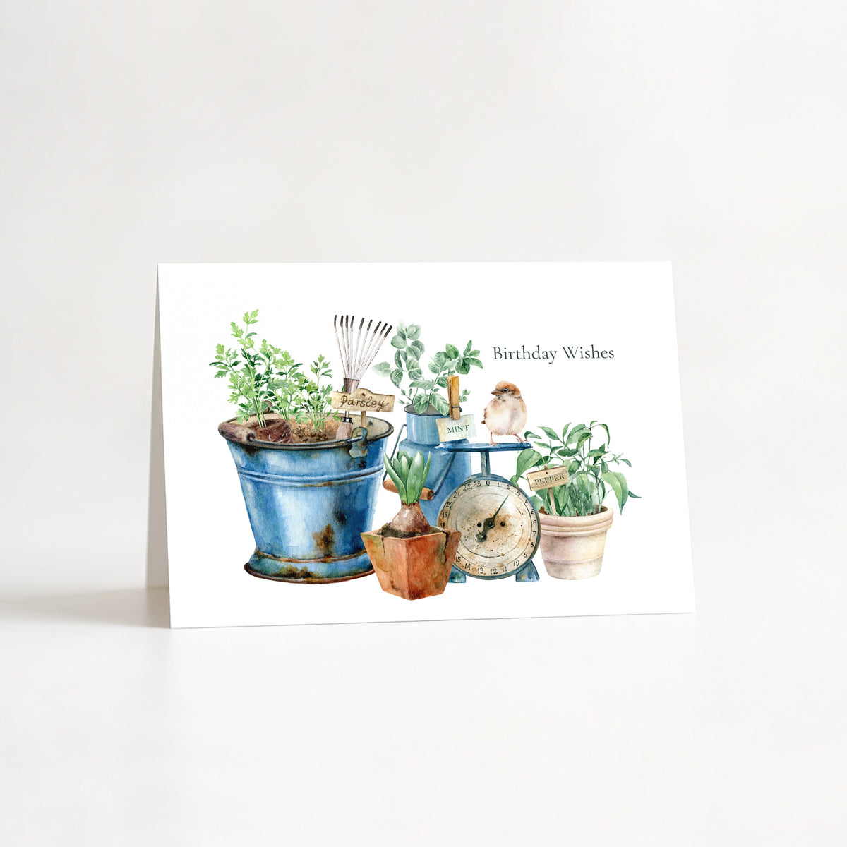 Birthday Wishes For a Gardener