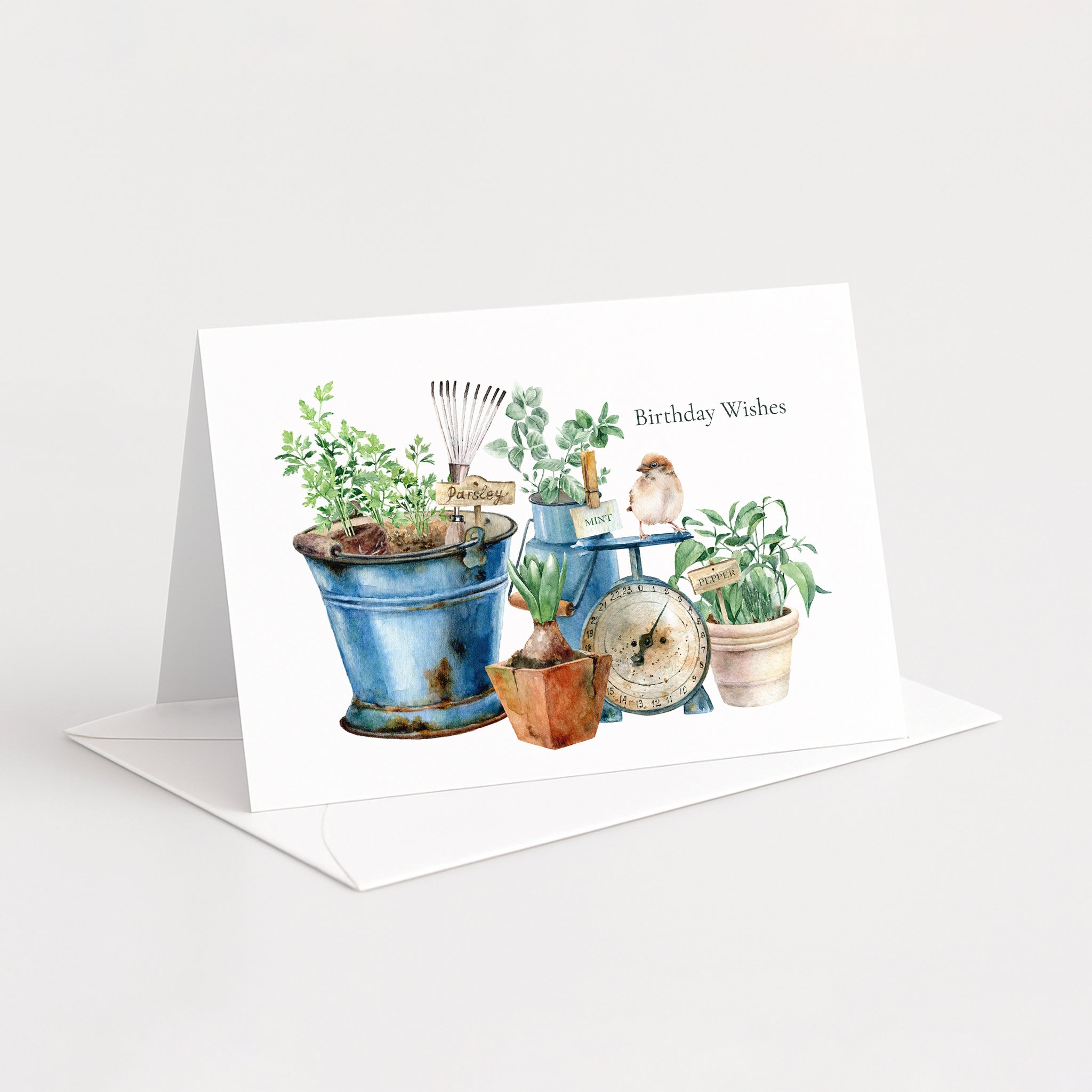 Birthday Wishes For a Gardener