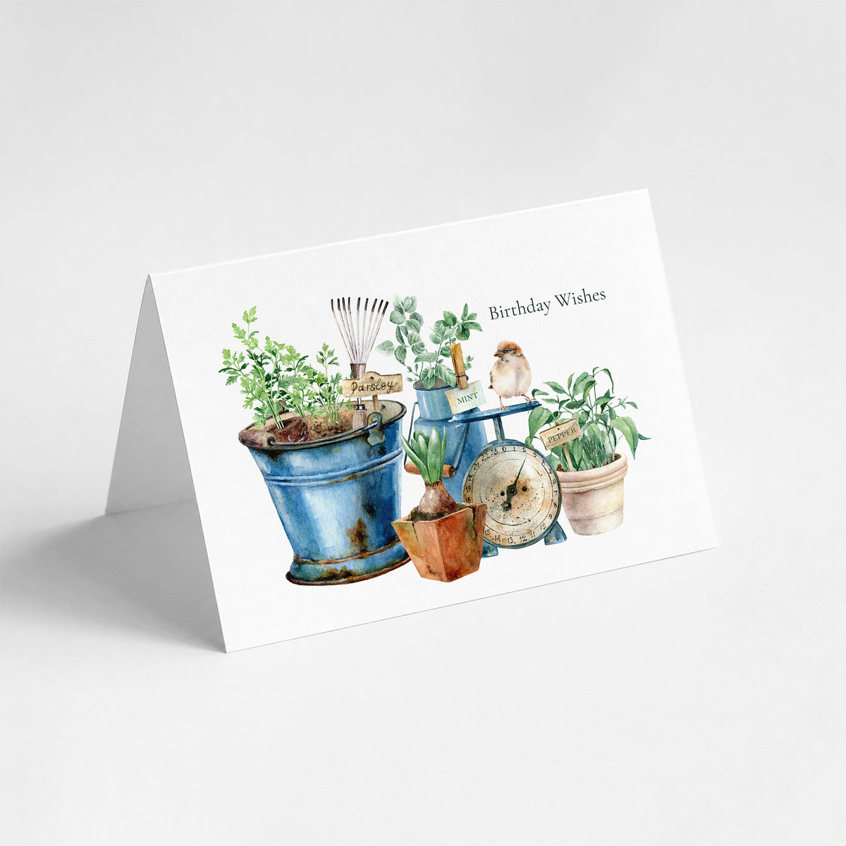 Birthday Wishes For a Gardener