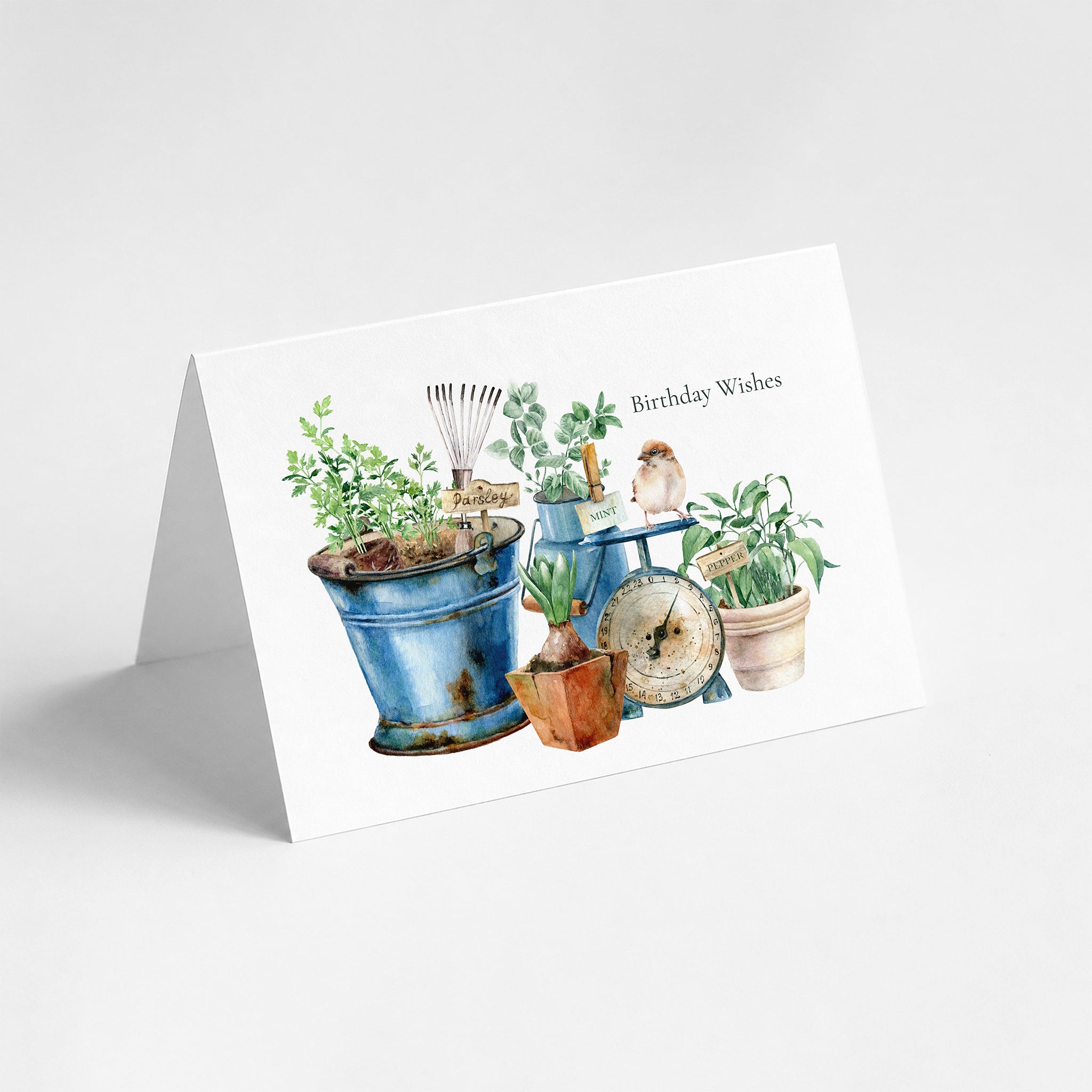 Birthday Wishes For a Gardener