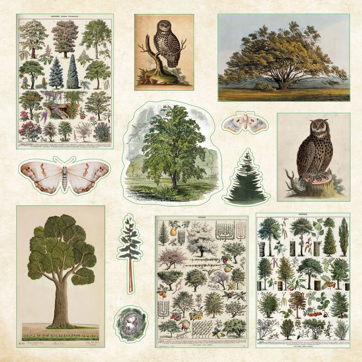 Enchanted Forest Ephemera Sticker Book – 800+ Woodland Stickers