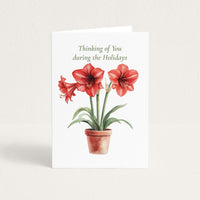 Holiday thinking-of-you card featuring a red amaryllis plant in a terracotta pot beneath the words “Thinking of You during the Holidays.”