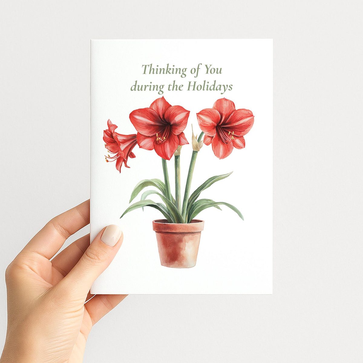 Hand holding a white holiday card illustrated with red amaryllis blooms in a terracotta pot.