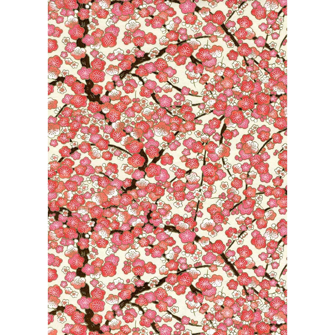 Japanese Chiyogami paper covered with coral, rose, blush, and ivory blossoms on dark branching boughs against a warm cream ground.
